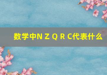 数学中N Z Q R C代表什么